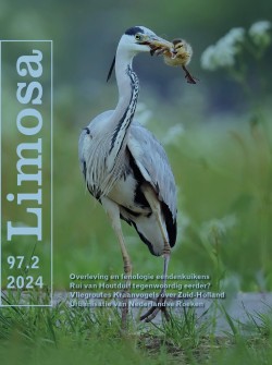 limosa 97.2 2024